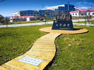 中卫天华矿业集团