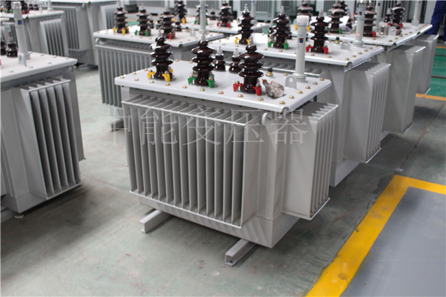 中卫S22-250KVA/10KV变压器